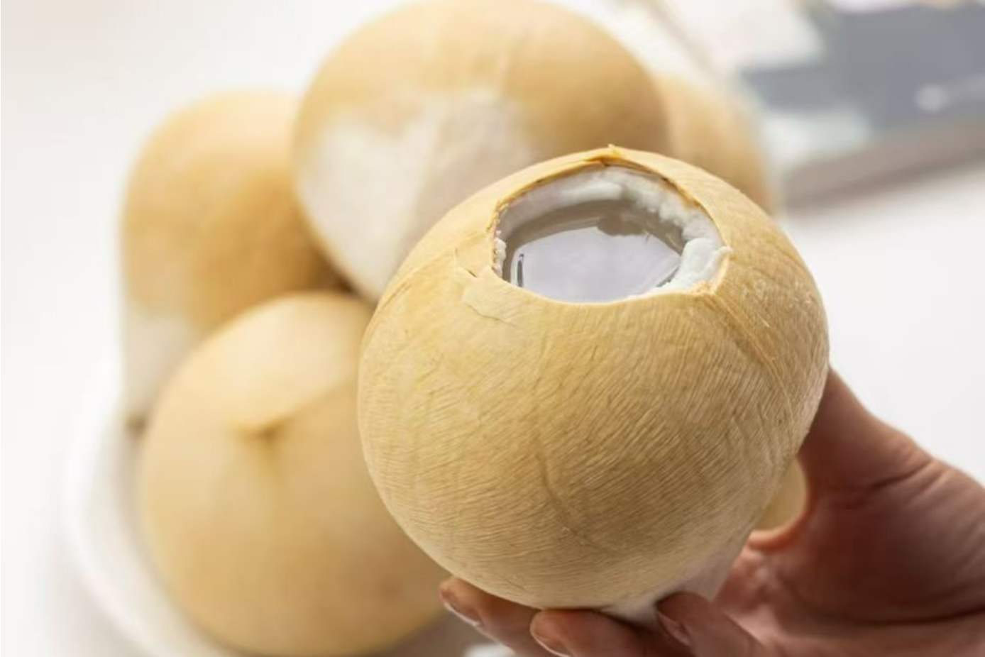 椰子进口实际案例：椰子生意避坑指南